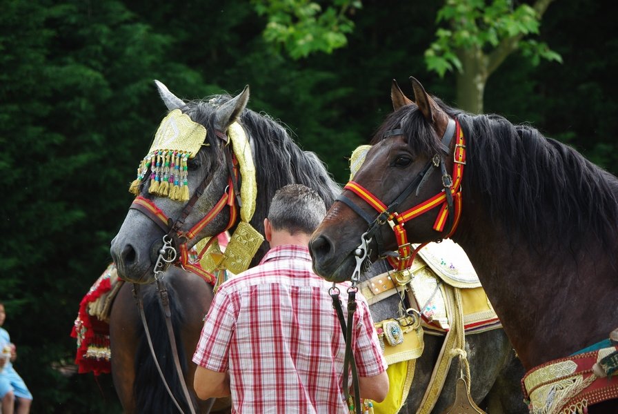 Le Moussem des Cultures 2008 117.jpg